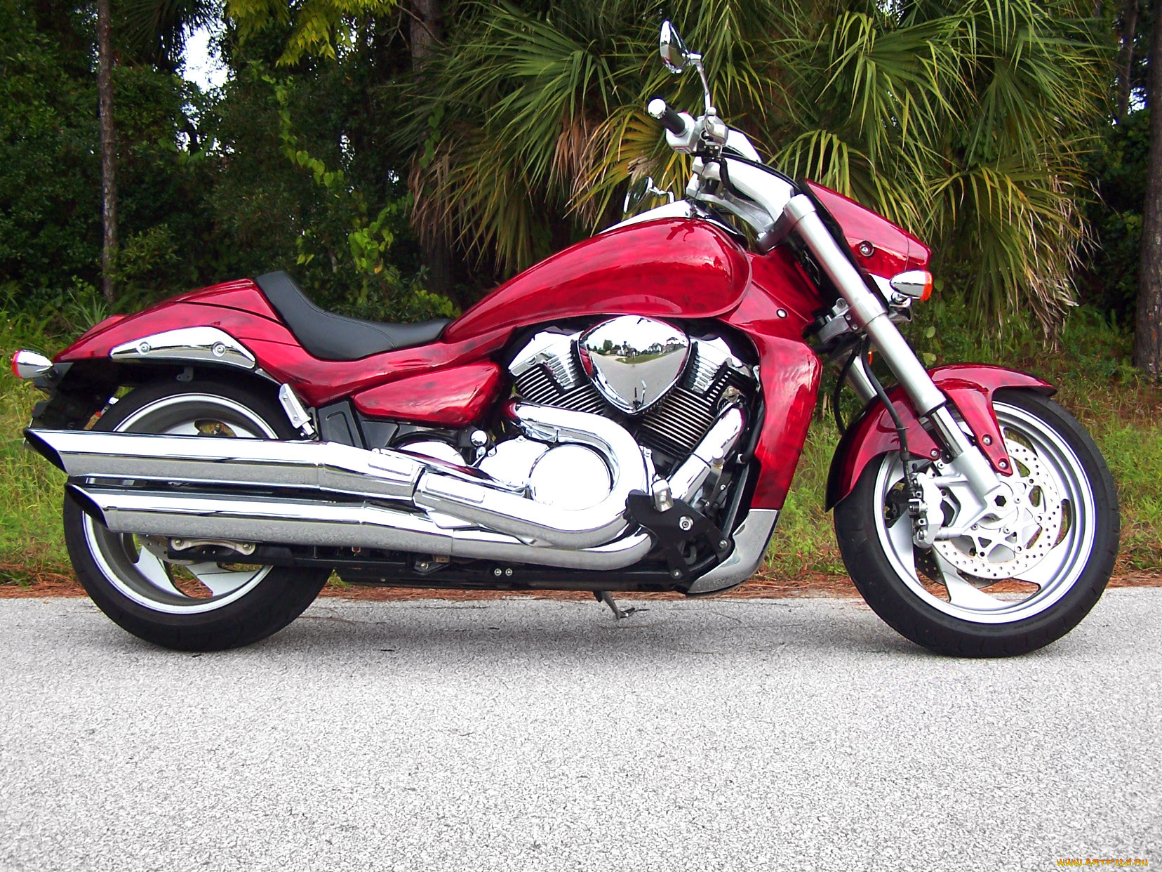 , suzuki, bike